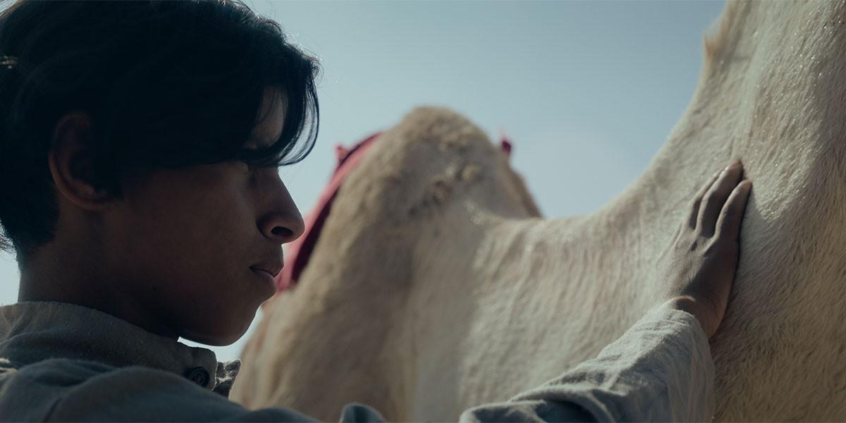 Hajjan, a Saudi film that celebrates the art and tradition of camel racing